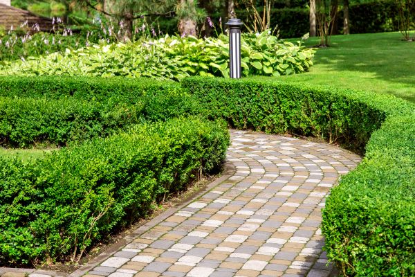 Cost of Paved Landscaping in Tomball