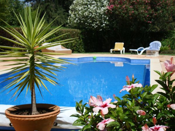 Cost of Pool Terrace Renovation in Tomball